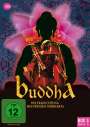 Dharmesh Shah: Buddha - Die Erleuchtung des Prinzen Siddharta Box 3, DVD,DVD,DVD