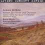 Antonin Dvorak: Klavierkonzert op.33, CD,CD