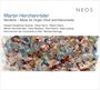 "Martin Herchenröder: Nordlicht – Music for Organ, Choir and Instruments. Kebyart Saxophone Quartet und mehr." Darunter abstrakte Kunst.