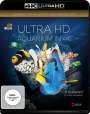 Simon Busch: Aquarium in 4K (Ultra HD Blu-ray), UHD