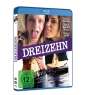 Catherine Hardwicke: Dreizehn (Blu-ray), BR