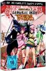 Akira Suzuki: Samurai Girls Staffel 2, DVD,DVD,DVD