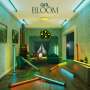 GiiRL: Bloom, LP