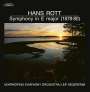 Hans Rott: Symphonie E-dur (180g / Exklusiv für jpc), LP,LP
