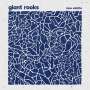Giant Rooks: New Estate (EP) (180g), LP