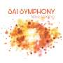 Mike Herting: Sai Symphony, CD,CD