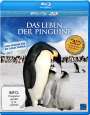 Kim Jin-man: Das Leben der Pinguine (3D Blu-ray), BR