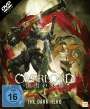 Naoyuki Itou: Overlord: The Dark Hero, DVD