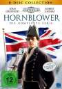 Andrew Grieve: Hornblower (Komplette Serie), DVD,DVD,DVD,DVD,DVD,DVD,DVD,DVD