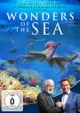 Jean-Jacques Mantello: Wonders of the Sea, DVD