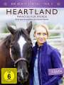Dean Bennett: Heartland - Paradies für Pferde Staffel 8 Box 2, DVD,DVD,DVD