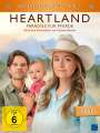 Dean Bennett: Heartland - Paradies für Pferde Staffel 11 Box 1, DVD,DVD,DVD