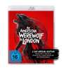 John Landis: An American Werewolf in London (Blu-ray), BR,BR