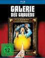 David L. Hewitt: Galerie des Grauens (Blu-ray), BR