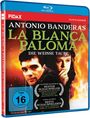 Text: "Antonio Banderas, La Blanca Paloma, Die weiße Taube, FSK 16 freigegeben, Bester Schauspieler, Beste Schauspielerin."  
Zwei Personen im Vordergrund, Feuer im Hintergrund.