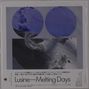 Text: "Lusine—Melting Days." Zwei blaue Kreise und darunter abstrakte schwarz-weiße Texturen.