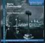 Boris Tischtschenko: Sämtliche Klavierwerke Vol.2, CD