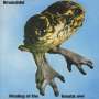 Brainchild: Healing Of The Lunatic Owl, CD