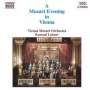 Wolfgang Amadeus Mozart: A Mozart Evening in Vienna, CD