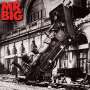 Mr. Big: Lean Into It (30th Anniversary Edition) (180g), LP