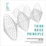 : Third Noise Principle: Formative North American Electronica 1975 - 1984, CD,CD,CD,CD