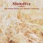Slowdive: The Shinning Breeze: Anthology, CD,CD