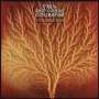 Van Der Graaf Generator: Still Life (remastered), LP
