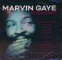 Marvin Gaye: In Concert (Prestige Soul Gems Series), CD