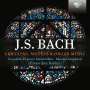 Johann Sebastian Bach: Kantaten,Motetten & Orgelwerke (im Kontext), CD,CD,CD,CD,CD,CD