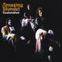Amazing Blondel: Restoration, CD
