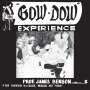 Prof. James Benson: Gow Dow Experience, CD