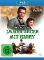 Alfred Hitchcock: Immer Ärger mit Harry (Blu-ray), BR