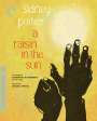 Donald Petrie: A Raisin In The Sun (1961) (Blu-ray) (UK Import), BR