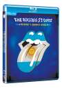 The Rolling Stones: Bridges To Buenos Aires (SD Blu-ray), BR