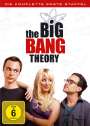 : The Big Bang Theory Staffel 1, DVD,DVD,DVD