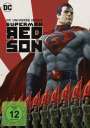 Sam Liu: Superman: Red Son, DVD