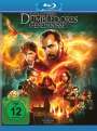 David Yates: Phantastische Tierwesen: Dumbledores Geheimnisse (Blu-ray), BR
