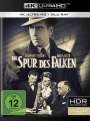 John Huston: Die Spur des Falken (Ultra HD Blu-ray & Blu-ray), UHD,BR