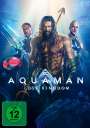 James Wan: Aquaman: Lost Kingdom, DVD