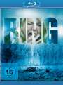 Gore Verbinski: Ring (2002) (Blu-ray), BR
