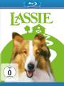 Daniel Petrie: Lassie - Freunde fürs Leben (Blu-ray), BR