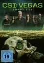 : CSI Vegas Staffel 1, DVD,DVD,DVD,DVD