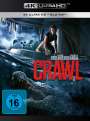 Alexandre Aja: Crawl (2019) (Ultra HD Blu-ray & Blu-ray), UHD,BR