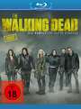 : The Walking Dead Staffel 11 (Blu-ray), BR,BR,BR,BR,BR,BR