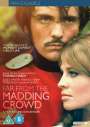John Schlesinger: Far From The Madding Crowd (UK Import), DVD,DVD