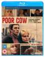 Ken Loach: Poor Cow (1968) (Blu-ray) (UK Import), BR