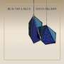 Steve Pilgrim: Beautiful Blue (Limited Indie Edition) (Blue Transparent Vinyl), LP