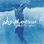 Gabrielle Aplin: Phosphorescent, CD