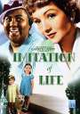 John M.Stahl: Imitation Of Life (1934) (UK Import), DVD