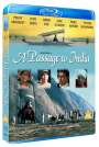 David Lean: A Passage to India (1984) (Blu-ray) (UK Import), DVD